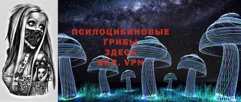 Псилоцибиновые грибы Psilocybine cubensis  hydra вход  Горняк 